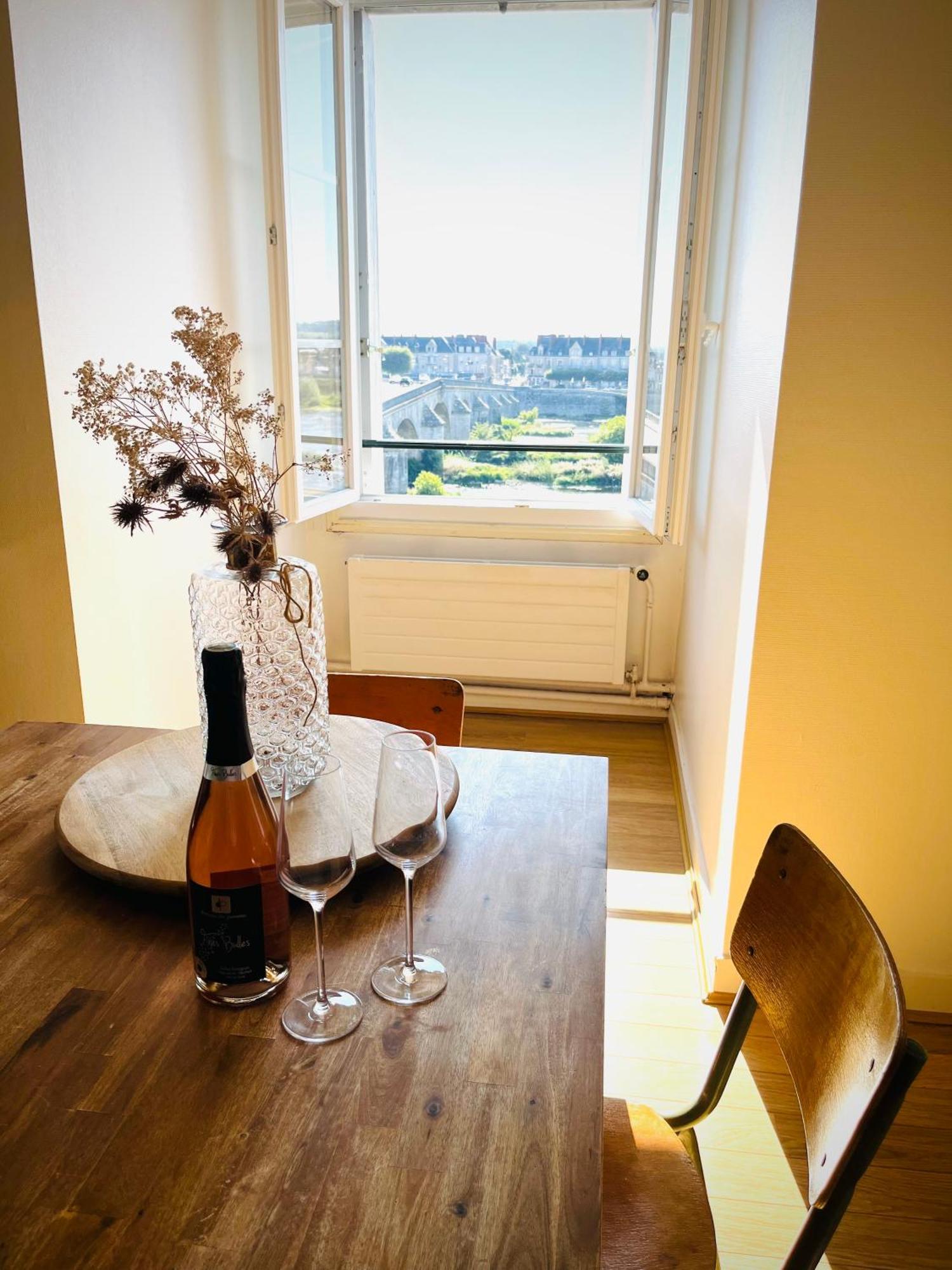 Blois, Vue Panoramique Loire Apartment Exterior photo
